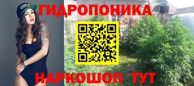mdpv Дубна