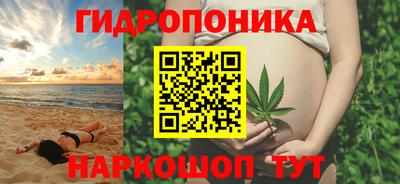альфа пвп Заводоуковск