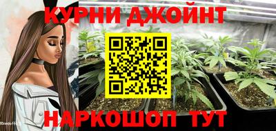 mdpv Дубна